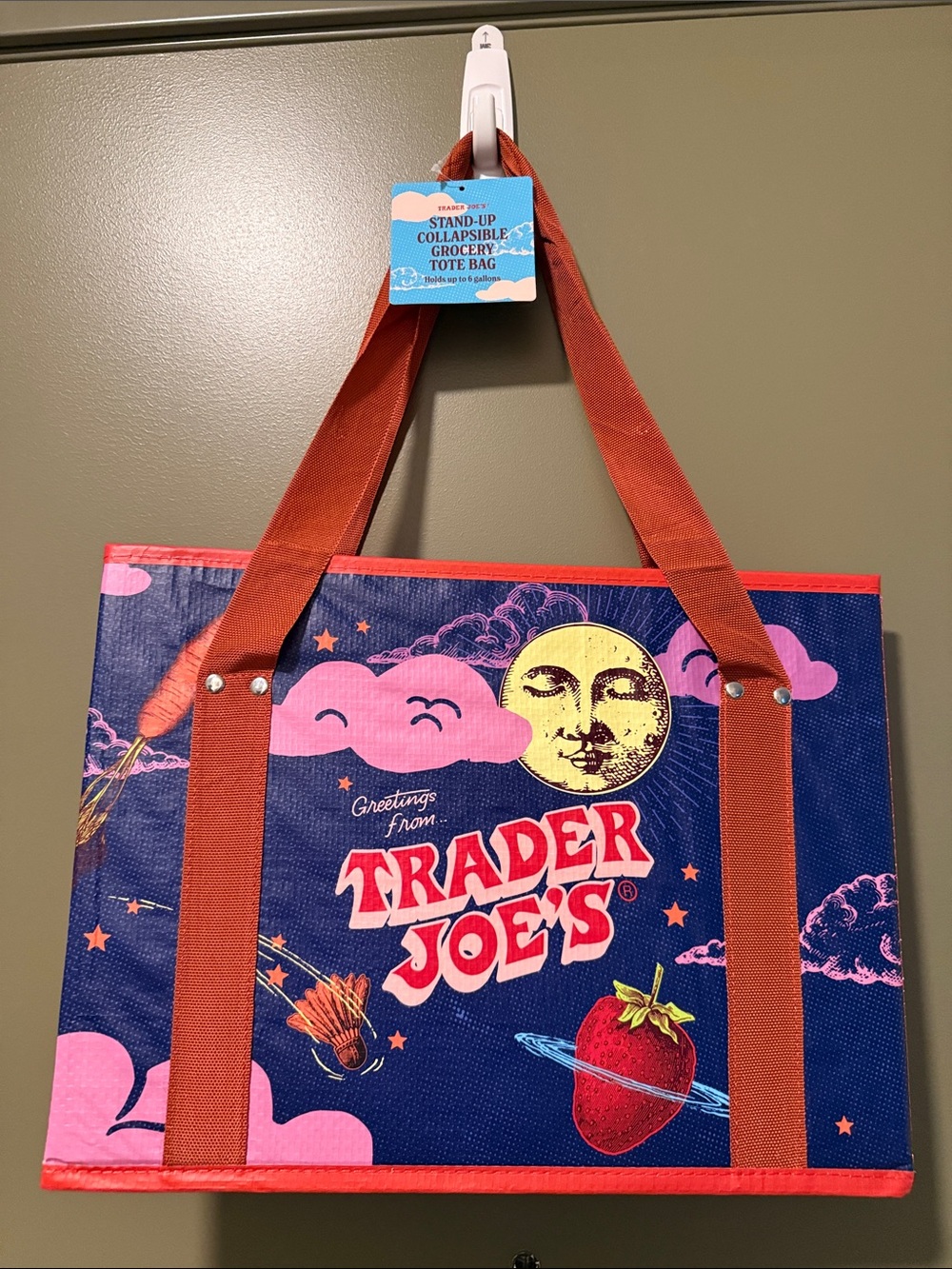 Trader Joe's Blue & Pink Graphic Tote with Brown Straps